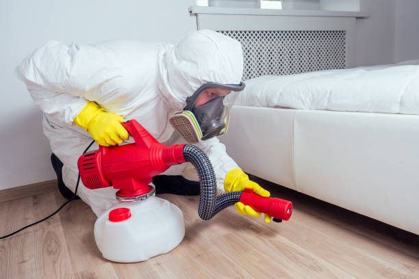 Best Real Estate Pest Inspections  in Bettendorf, IA